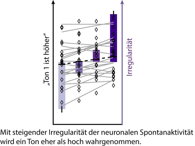 Mit steigender Irregularität der neuronalen Spontanaktivität wird ein Ton eher als hoch wahrgenommen.