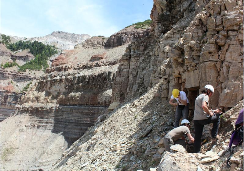 Das Forscherteam an der paläontologischen Stätte des Bletterbachs, Dolomiten, Norditalien.