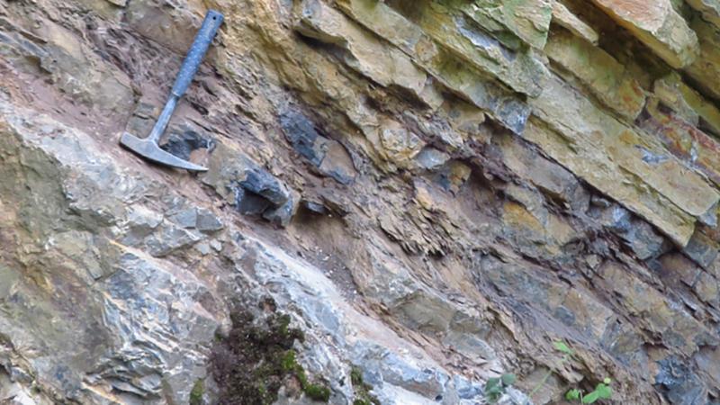 Der geologische Ausdruck des spätdevonischen Massensterbens in Deutschland. Die Massenausrottung wird durch eine Schicht Schwarzschiefer sichtbar, die die Abfolge der Kalksteinschichten unterbricht.