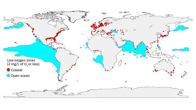 Die Gebiete mit extremer Sauerstoffarmut wachsen sowohl im offenen Ozean als auch in Küstenregionen. Credit: GO2NE working group. 