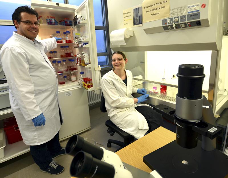 Dr. Björn Kowalewski und Mai-Britt Ilse haben für die Studie mit Zellkulturen nachgewiesen, dass das mutierte Gen der Patienten seine Funktion verloren hat. 