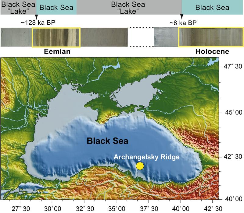 Dark sediments represent „dead zones“ during warm periods like Eemian and Holocene. The warmer Eemian might serve as a bench mark for a potential future climate.