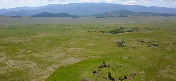 Blick auf den Grabhügel Tunnug 1 (Arschan 0). Während die übrigen Kurgane der Region auf einer Terrasse angelegt wurden, liegt Tunnug 1 (Arschan 0) tief in einem Sumpf.