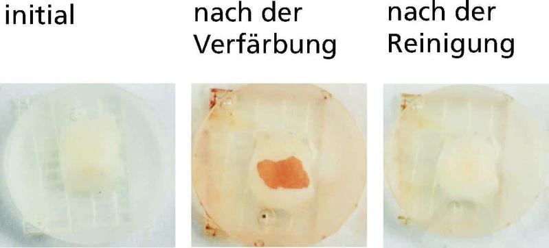 Fotografische Abbildung der Zahnschmelzproben im Ausgangszustand, nach Verfärbung und nach der Reinigung. Die Reinigung der Proben erfolgte mit einer Cellulose-haltigen Zahnpasta.