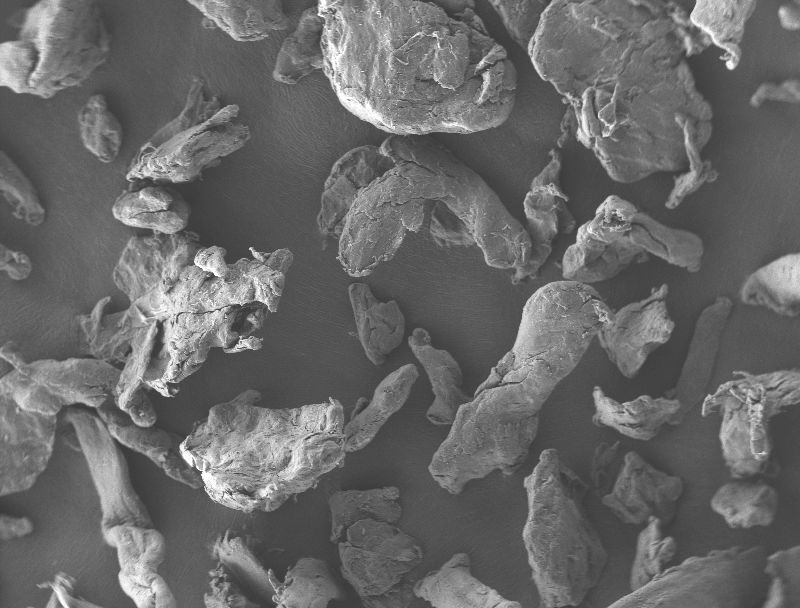 Scanning electron microscope image of cellulose particles from beech wood, which are used in various dental and personal care products