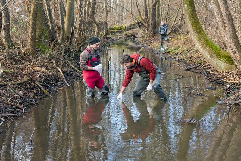 Mit der Umwelt-DNA-Analyse werden Gewässerlebewesen nachweisbar, ohne dass sie gefangen werden müssen: Bernhard Stoeckle (re.) holt sich dafür eine Wasserflasche mit Flüssigkeit aus einem Bach.