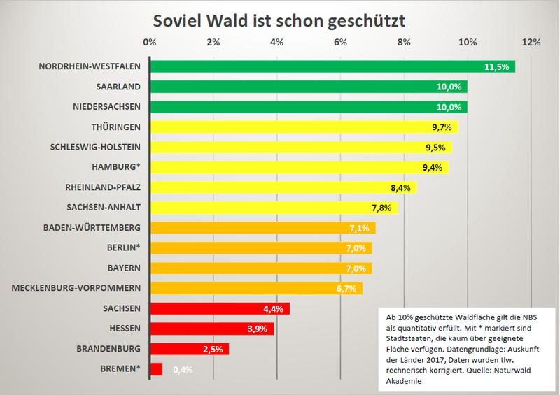 In 10% der öffentlichen Waldfläche soll bis 2020 dauerhaft kein Holz mehr gewonnen werden. So viel haben die Länder schon erreicht. 