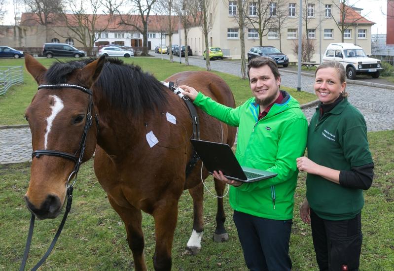 "HorseVetMed": Die Tierärzte Michael Geiger und Marie-Luise Huhn erläutern an Pferd Lupus, wie das innovative Sensorsystem funktioniert.