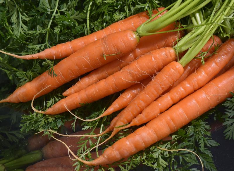 Wissenschaftler der Uni Jena und der Uni Düsseldorf erforschen die hautschützende Wirkung von Carotinoiden nach dem Sonnen. In vielen Gemüsesorten, z. B. in Karotten, sind Carotinoide enthalten.