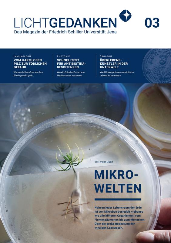 Das Cover des neuen Magazins zeigt ein winziges Fichtenbäumchen in einer Petrischale. Jenaer Forscherinnen und Forscher untersuchen u. a. das Wechselspiel zwischen Baumwurzeln und Pilzen.