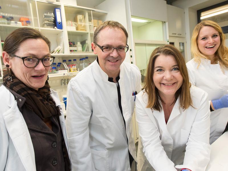 Im Labor (von links): Franka Eckardt, Dr. Reinhard Bauer, Melanie Thielisch und Mariangela Sociale vom LIMES-Institut (Life & Medical Sciences) der Universität Bonn. 