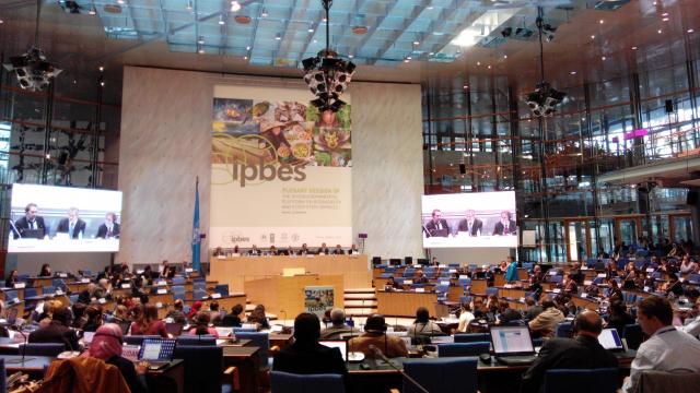 3. IPBES-Plenum in 2015 Bonn