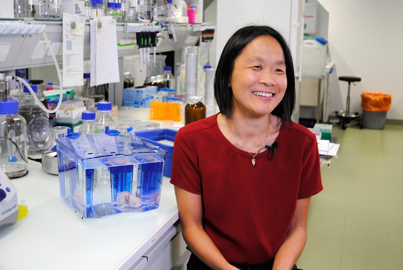 IMP Senior Scientist Elly Tanaka