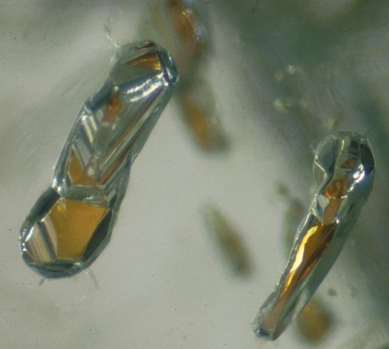 Diamant aus rund 500 Kilometern Tiefe. Die beiden Einschlüsse von orangefarbenem Granat im Vordergrund sind jeweils etwa 200 Mikrometer (= 0,2 Millimeter) lang. 