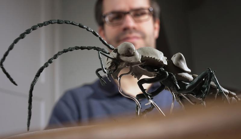 Der Jenaer Entomologe Dr. Benjamin Wipfler mit einem Modell des inzwischen ausgestorbenen Insekts „Caputoraptor elegans“. 