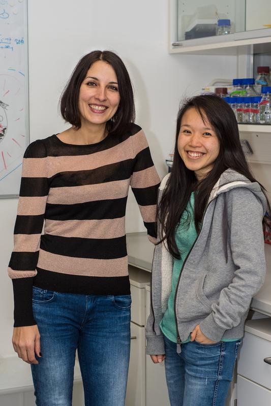 Dr. Kerstin Bartscherer (l.) and Dr. Suthira Owlarn 