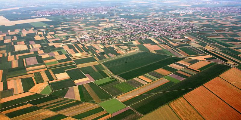 Wieviel vom eingestrahlten Sonnenlicht absorbiert und reflektiert wird, hängt von der Beschaffenheit der Oberfläche ab. Diese lässt sich in Landwirtschaft und Agglomeration beeinflussen.