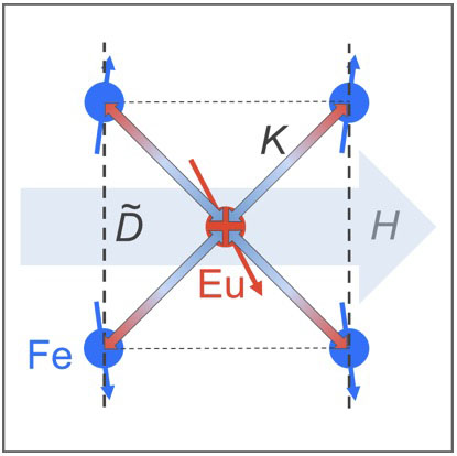 Darstellung der für die magnetische Entzwilligung in orthorhombischem EuFe₂As₂ relevanten Wechselwirkungen. Wesentlich ist eine bi-quadratische Kopplung (K), dargestellt durch blau-rote Pfeile.