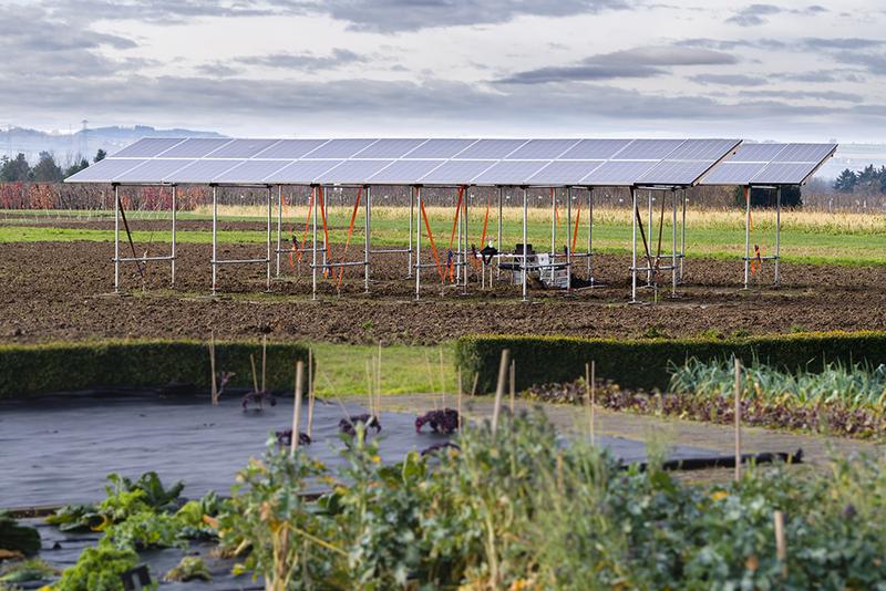 Im Rahmen des Forschungsprojektes wird untersucht, wie sich Photovoltaikanlagen auf die unmittelbar genutzte Fläche und deren Umgebung auswirken. 