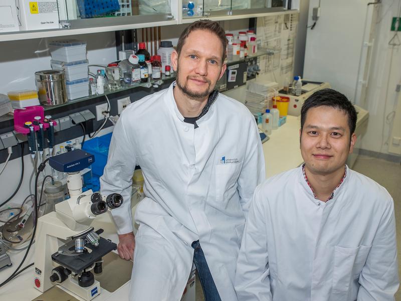 Im Histologie-Labor (von links): Dr. Martin Breitbach und Dr. Kenichi Kimura am Institut für Physiologie I der Universität Bonn. 