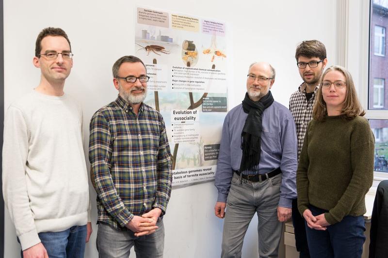 Das münstersche Team (v. l.): Dr. Carsten Kemena, Dr. Mark Harrison, Prof. Dr. Erich Bornberg-Bauer, Alberto Lopez und Dr. Evelien Jongepier