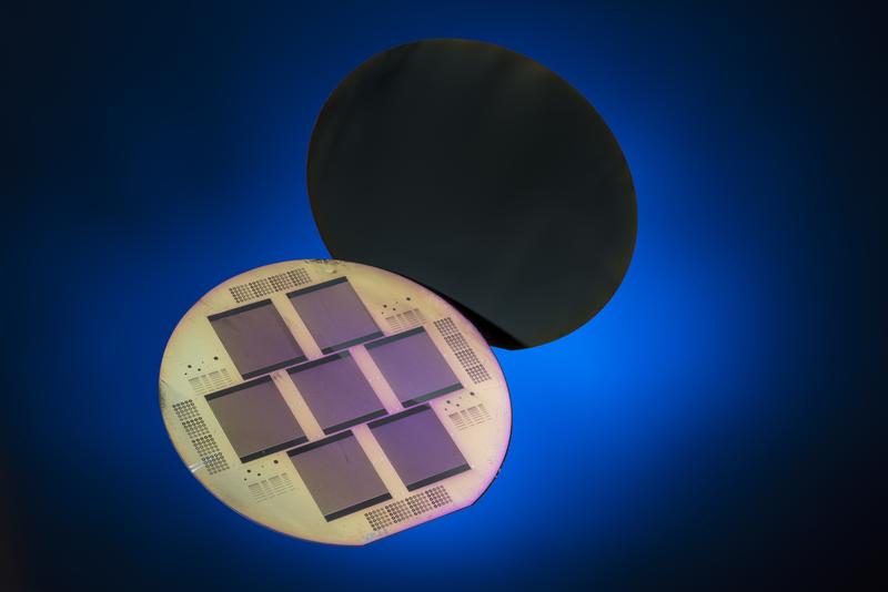 Monocrystalline silicon solar cell with POLO-contacts for both polarities on the solar cell rear side. In the foreground the rear side of seven solar cells processed on one wafer can be seen.
