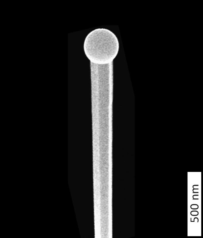 Einzelner Nanodraht mit Gallium-Tropfen unter dem Raster-Elektronenmikroskop des DESY NanoLabs. 