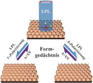 Mit dem neuen Verfahren lassen sich poröse Filme aus Formgedächtnis-Polymeren effektiv herstellen.