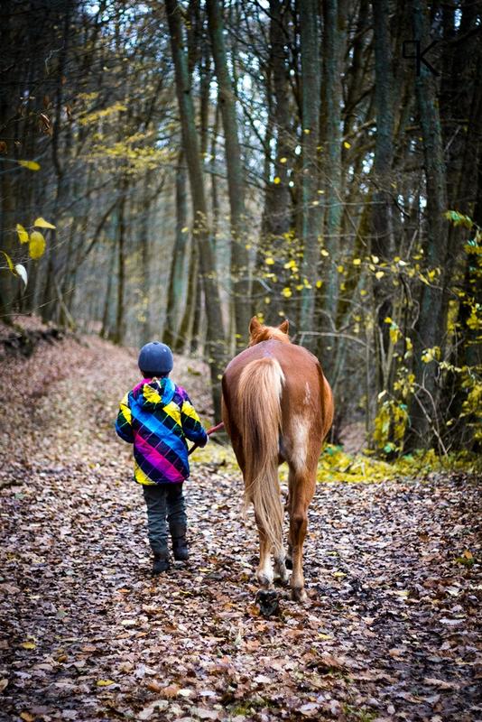 Auch das „Pferdegestützte Coaching“ ist Thema der Weiterbildung „Tiergestützte Dienstleistungen“.  Foto: Dr. Katharina Ameli