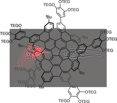 Synthese eines wasserlöslichen gebogenen Nanographens 