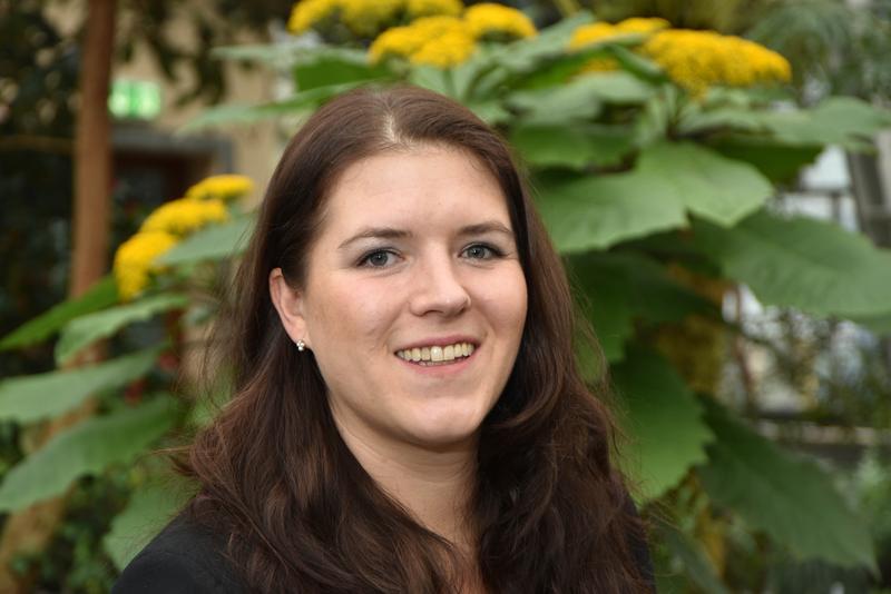 Patrizia König von der Uni Jena hat Daten aus verschiedenen Publikationen zum Blühbeginn für über 550 Pflanzenarten von 18 Standorten in Europa und Nordamerika zusammengetragen und ausgewertet. 