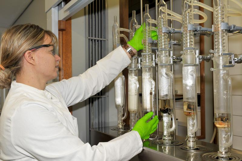 Dr. Jana Gelbrich untersucht Proben holzähnlicher Stoffe in den Laboren des neuen Kompetenzbereichs an der MPA Bremen