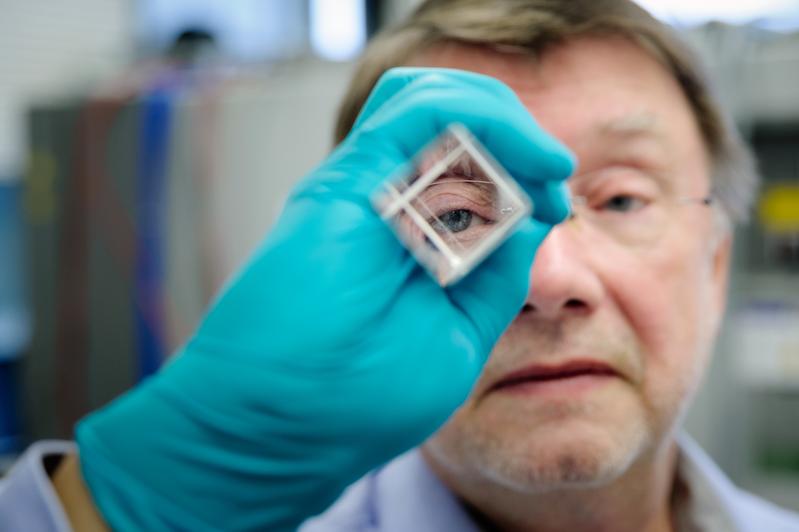 Im neuen „Panda“-Detektor verbauen die Forscher Kristalle, die zu 96 Gewichtsprozenten aus Metall – Blei und Wolfram – bestehen und trotzdem durchsichtig wie Glas sind.