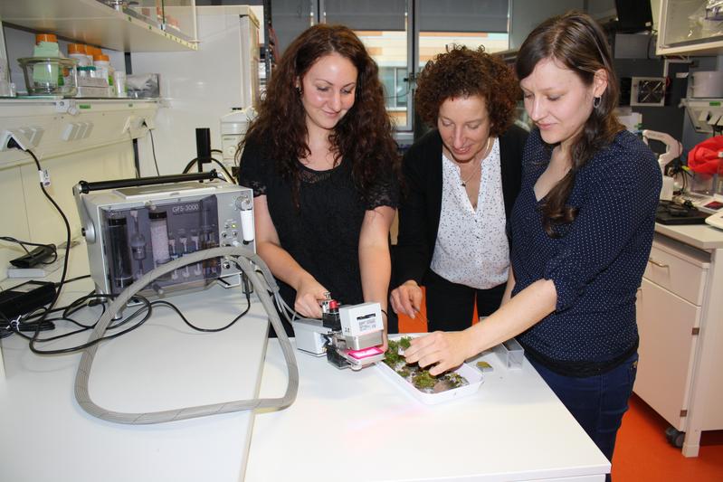 Gruppenleiterin Bettina Weber (Mitte), Doktorandin Alexandra Tamm (l.) und Postdoc Stefanie Maier (r.) untersuchen Moose und Flechten mithilfe einer CO2-Gaswechselanlage. 