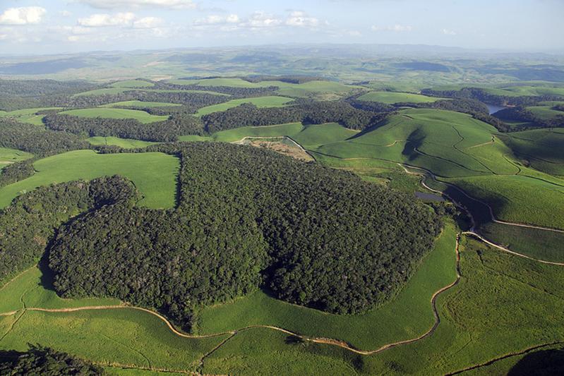 Die Luftaufnahme zeigt Waldfragmente des Brasilianischen Atlantischen Regenwaldes im Nordosten Brasiliens (Mata Atlântica), umgeben von Zuckerrohrplantagen.