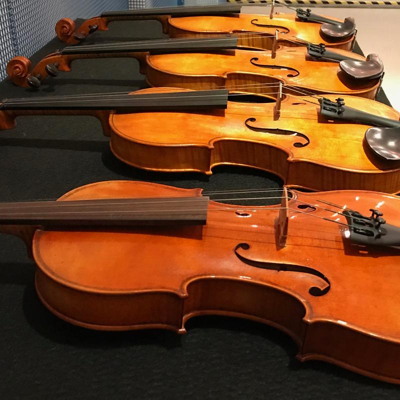 Violins made from Mycowood have to proof their potential under scientific conditions