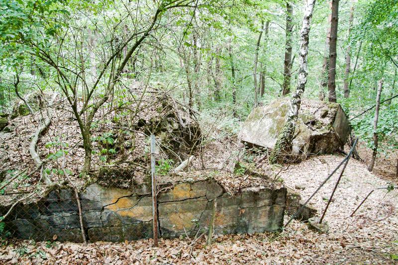 Bunkerruine bei Oberotterbach.