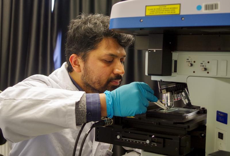 TU-Forscher Mahfujur Rahaman untersucht ultradünnes Gallium(II)-Selenid mittels Raman-Spektroskopie. 