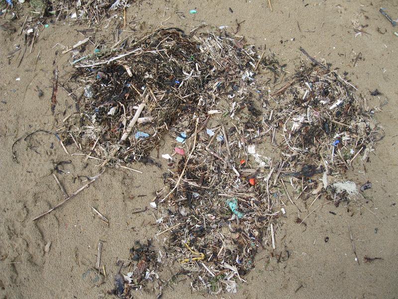 Mikroplastik entsteht oft durch Zerfall größerer Partikel und kann mittlerweile überall in der Umwelt nachgewiesen werden. Im Wasser siedeln sich dort trotz der geringen Größe bakterielle Biofilme an.