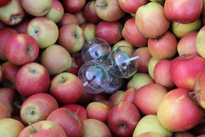 Air Speed Logger zwischen Äpfeln
