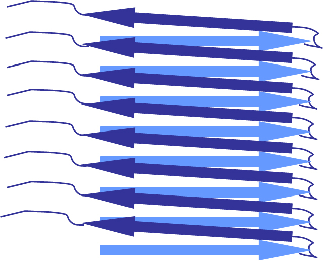 Schematische Darstellung von Amyloid-Fibrillen mit parallel verlaufenden beta-Faltblättern, wie sie auch in dem untersuchten Prion vorliegen. 