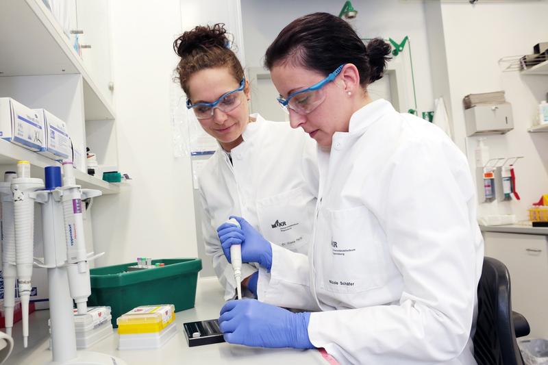 Dr. Diana Pauly (links) prüft in einem Labor des Universitätsklinikums Regensburgs mit Doktorandin Nicole Schäfer die im Universitätsspital Bern kultivierten Zellen auf Altersblindheit. 