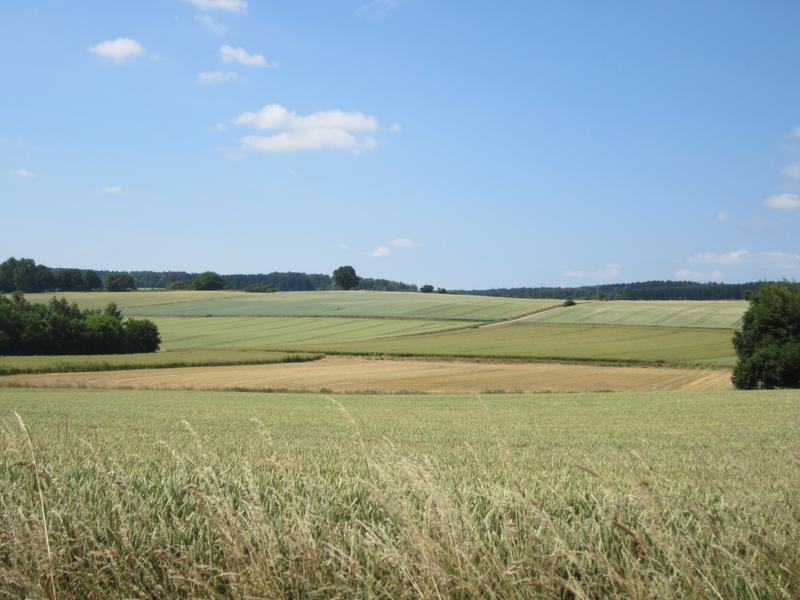 Kleinräumige Landschaft in der Göttinger Region, wie sie Bestäuber fördert.