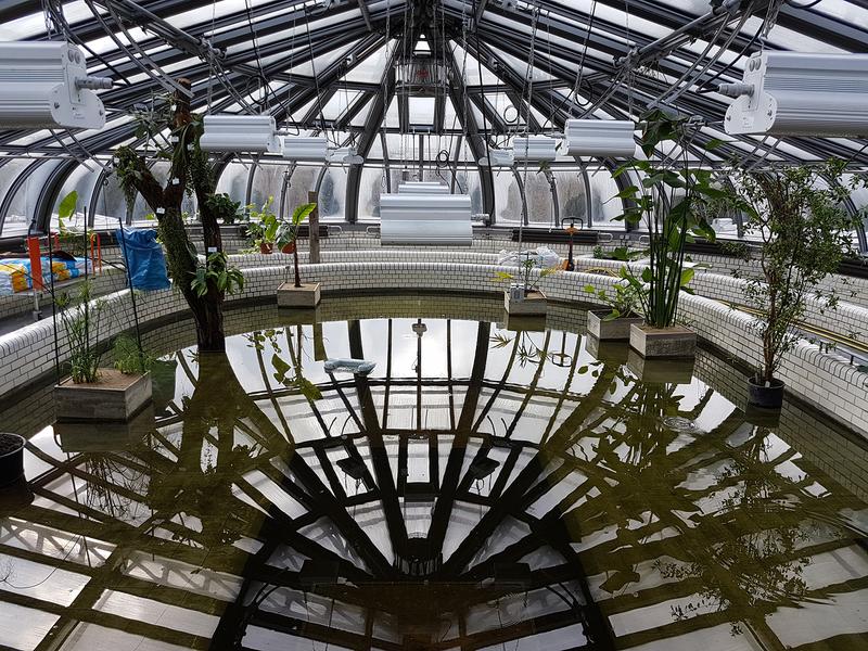 Victoriahaus im Botanischen Garten Berlin zu Beginn der Pflanzung, Ende Februar 2018