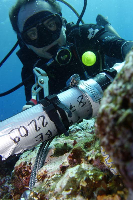 Emplacement of pressure transducers on the offshore reef of Teahupoo, Tahiti. 