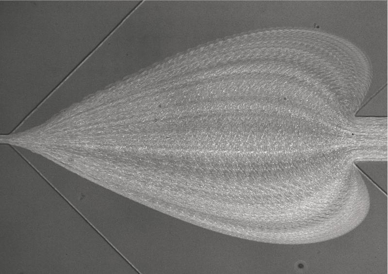 The artistic rendering of the microscopic view into the measurement chip shows the trajectories of many individual blood cells flowing from right to left. 