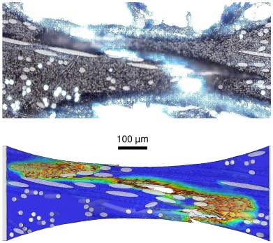 Schadensentstehung an einer kurzglasfaserverstärkten Mikroprobe (oben bildgebendes Verfahren zu Ermittlung der Rissentstehung, unten numerisch).