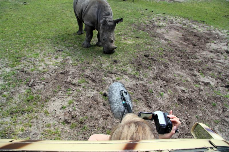 Aufnahmen im Serengeti-Park Hodenhagen