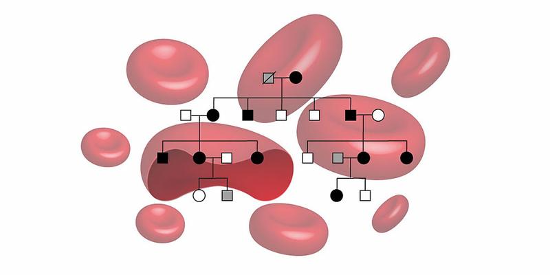 Erbgang der familiären Erythrozytose.