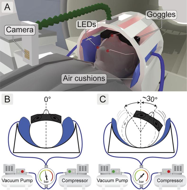 Der Kopf des Probanden wird im fMRT-Scanner mit computerkontrollierten Luftkissen stabilisiert. So sind Aufnahmen bei Kopfbewegungen möglich. LEDs dienen als Referenzpunkte für die Kopfbewegung.